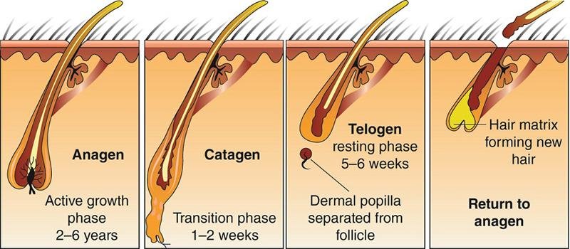 Treating Hair ⁣Loss: Exploring Cutting-Edge ‍Innovations in Hair Transplant Techniques